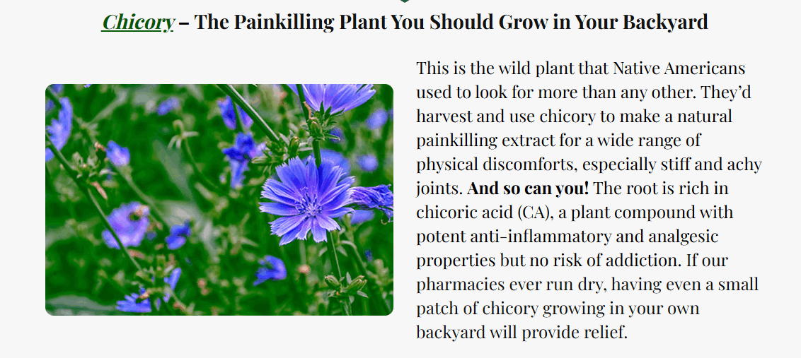 Medicinal Garden Kit Seeds