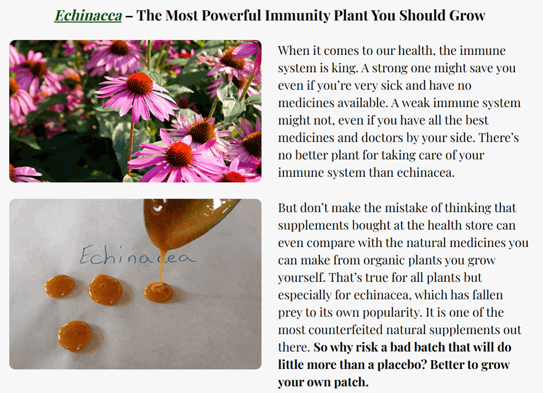 Medicinal Garden Kit Seeds