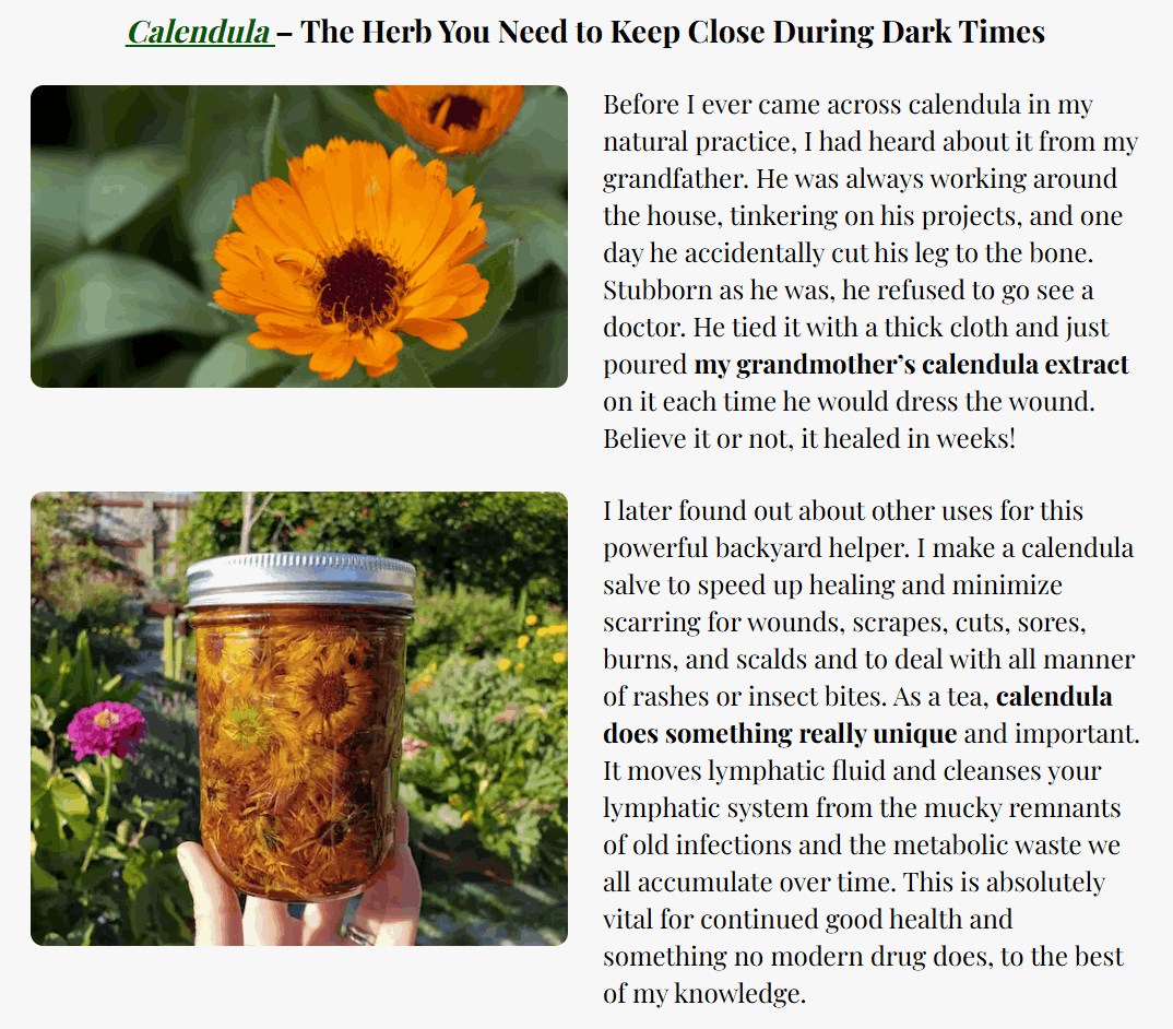 Medicinal Garden Kit Seeds