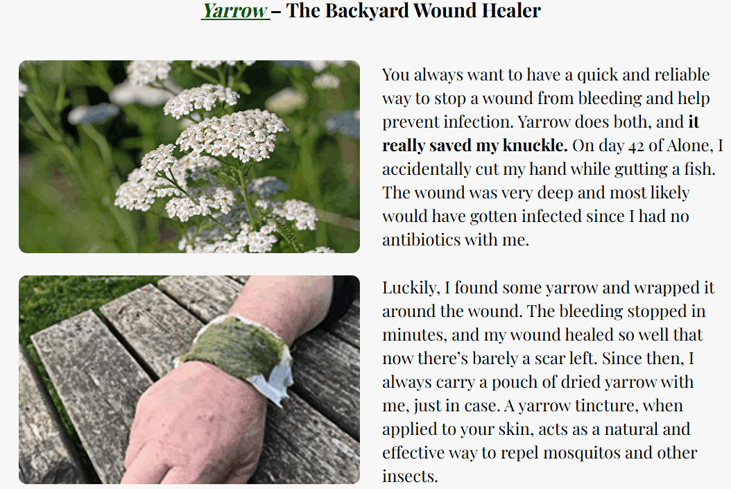 Medicinal Garden Kit Seeds