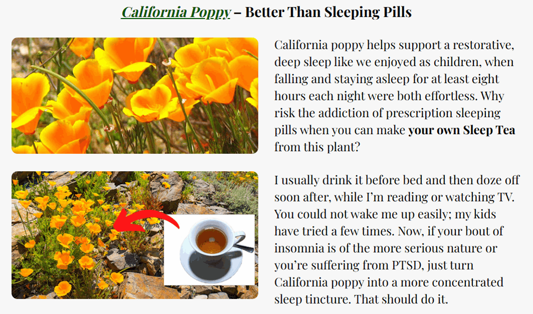 Medicinal Garden Kit Seeds