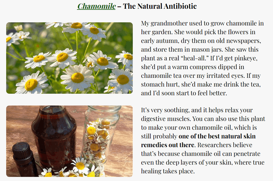 Medicinal Garden Kit Seeds