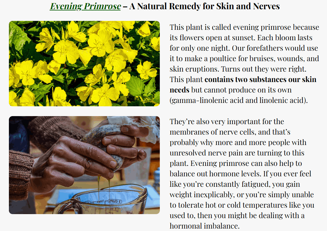 Medicinal Garden Kit Seeds